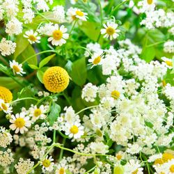 ザ・ガーデンオリエンタル大阪の写真18枚目