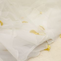 セントジェームスクラブ迎賓館仙台の写真10枚目