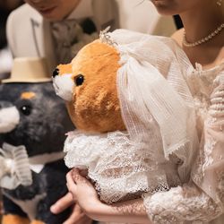 ルーキスの写真31枚目