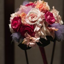 ルーキスの写真31枚目