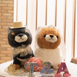 ルーキスの写真6枚目