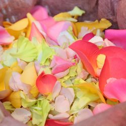 けやき坂 彩桜邸 シーズンズテラスの写真29枚目