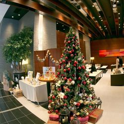 ザ・ピーク プレミアムテラスの写真26枚目