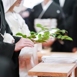 那古野神社の写真4枚目