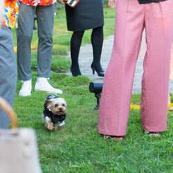 Mia Viaの写真9枚目