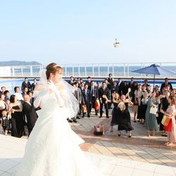 リビエラ逗子マリーナの写真20枚目