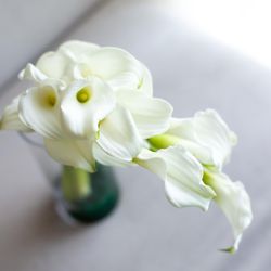 パレスホテル東京の写真29枚目