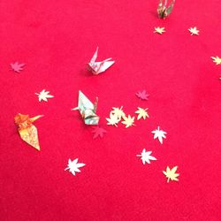 ホテル雅叙園東京の写真32枚目