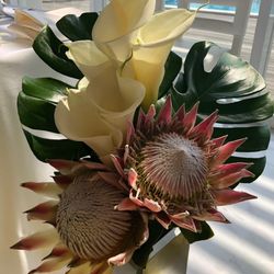 茅ヶ崎迎賓館の写真18枚目