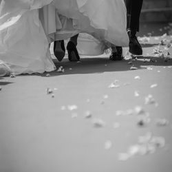 茅ヶ崎迎賓館の写真21枚目