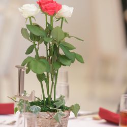 ザ・ピーク プレミアムテラスの写真14枚目