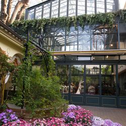 リストランテASOの写真19枚目