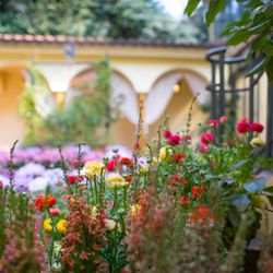 リストランテASOの写真22枚目