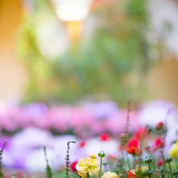 リストランテASOの写真34枚目