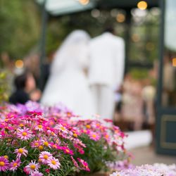 リストランテASOの写真8枚目