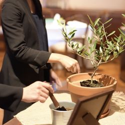 リストランテASOの写真14枚目