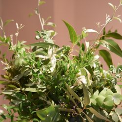 リストランテASOの写真12枚目