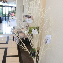 伊勢山ヒルズの写真23枚目