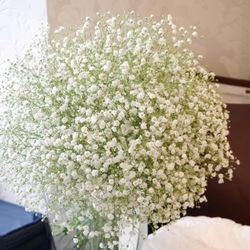 伊勢山ヒルズの写真33枚目