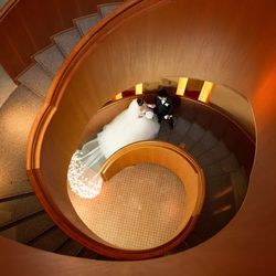 パーク ハイアット 東京の写真20枚目