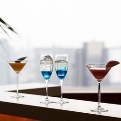 パーク ハイアット 東京の写真20枚目