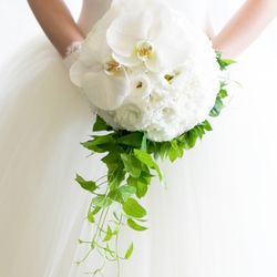 パーク ハイアット 東京の写真9枚目