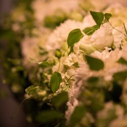 パーク ハイアット 東京の写真26枚目