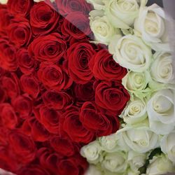 アニヴェルセル みなとみらい横浜の写真14枚目