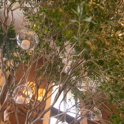 ザ・ガーデンオリエンタル大阪の写真24枚目