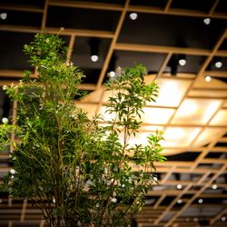 八芳園の写真17枚目