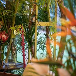 ザ・ガーデンオリエンタル大阪の写真24枚目