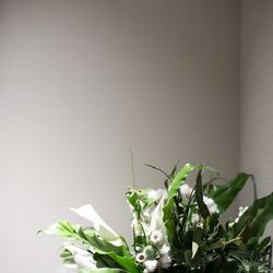 ザ・ガーデンオリエンタル大阪の写真21枚目