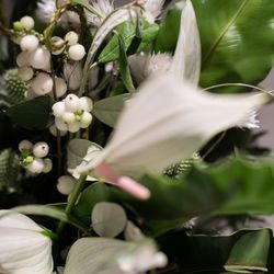 ザ・ガーデンオリエンタル大阪の写真25枚目