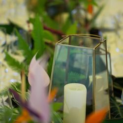 ザ・ガーデンオリエンタル大阪の写真11枚目