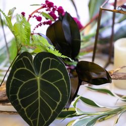 ザ・ガーデンオリエンタル大阪の写真34枚目