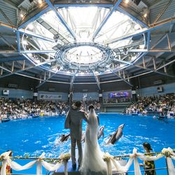 品川プリンスホテルの写真22枚目