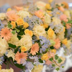 ザ・ミーツ マリーナテラスの写真27枚目