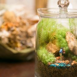 KOTOWA 鎌倉 鶴ヶ岡会館の写真26枚目