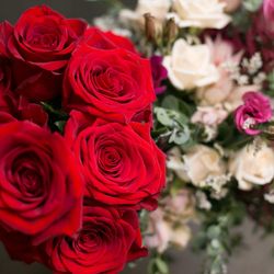 ザ ストリングス 表参道の写真2枚目