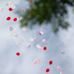 ザ ストリングス 表参道の写真24枚目