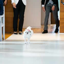 マウロ・アネーラの写真8枚目