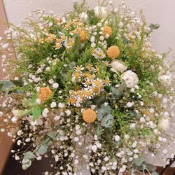 プルーナ マリエールの写真30枚目