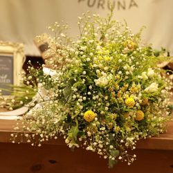 プルーナ マリエールの写真18枚目