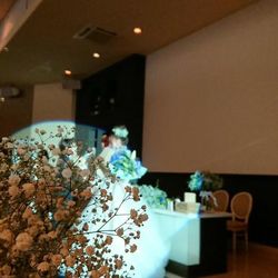 プルーナ マリエールの写真21枚目