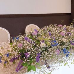 プルーナ マリエールの写真25枚目