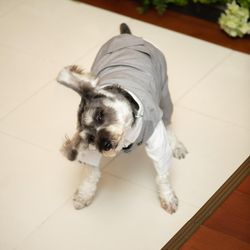 フェアブルーム水戸アメイジングステージの写真9枚目