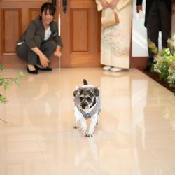 フェアブルーム水戸アメイジングステージの写真19枚目