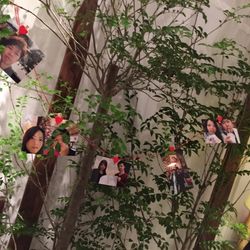 ザ・ピーク プレミアムテラスの写真27枚目