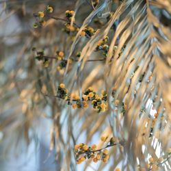 ザ ソウドウ 東山 京都の写真3枚目