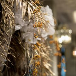 ザ ソウドウ 東山 京都の写真4枚目